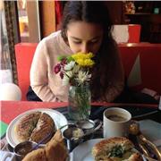 Cours d'allemand pour tous les niveaux!